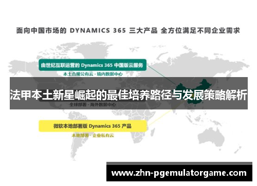 法甲本土新星崛起的最佳培养路径与发展策略解析
